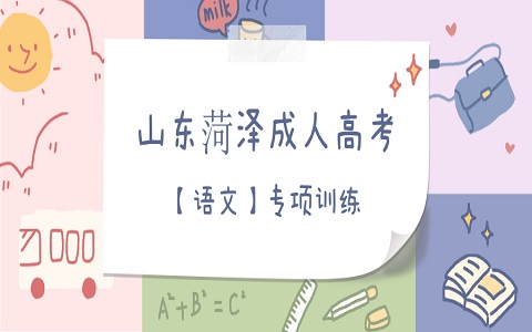 山東成人高考 菏澤成人高考 成人高考專項訓練